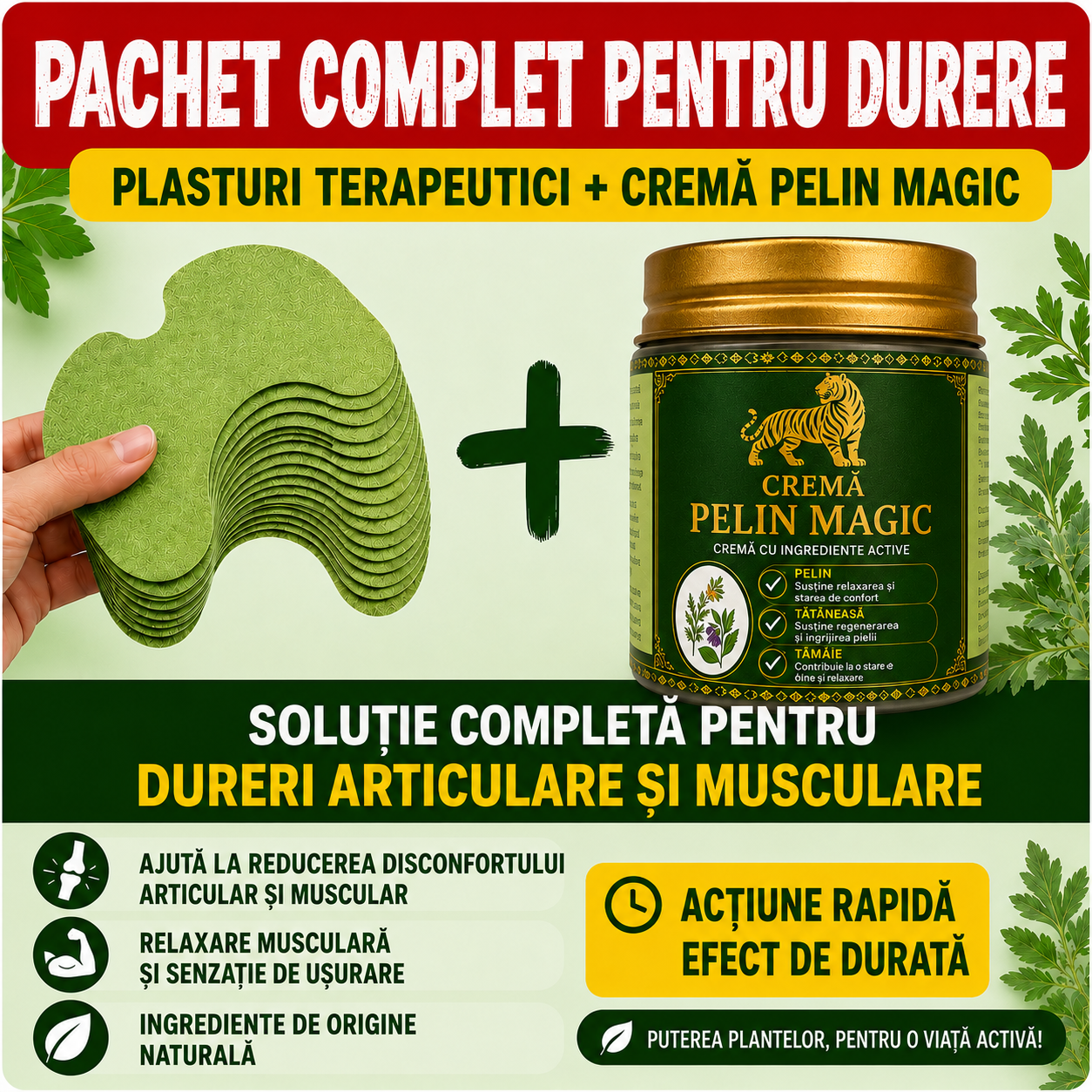 PACHET ANTI DURERE CREMĂ + 40 PLASTURI PELIN MAGIC
